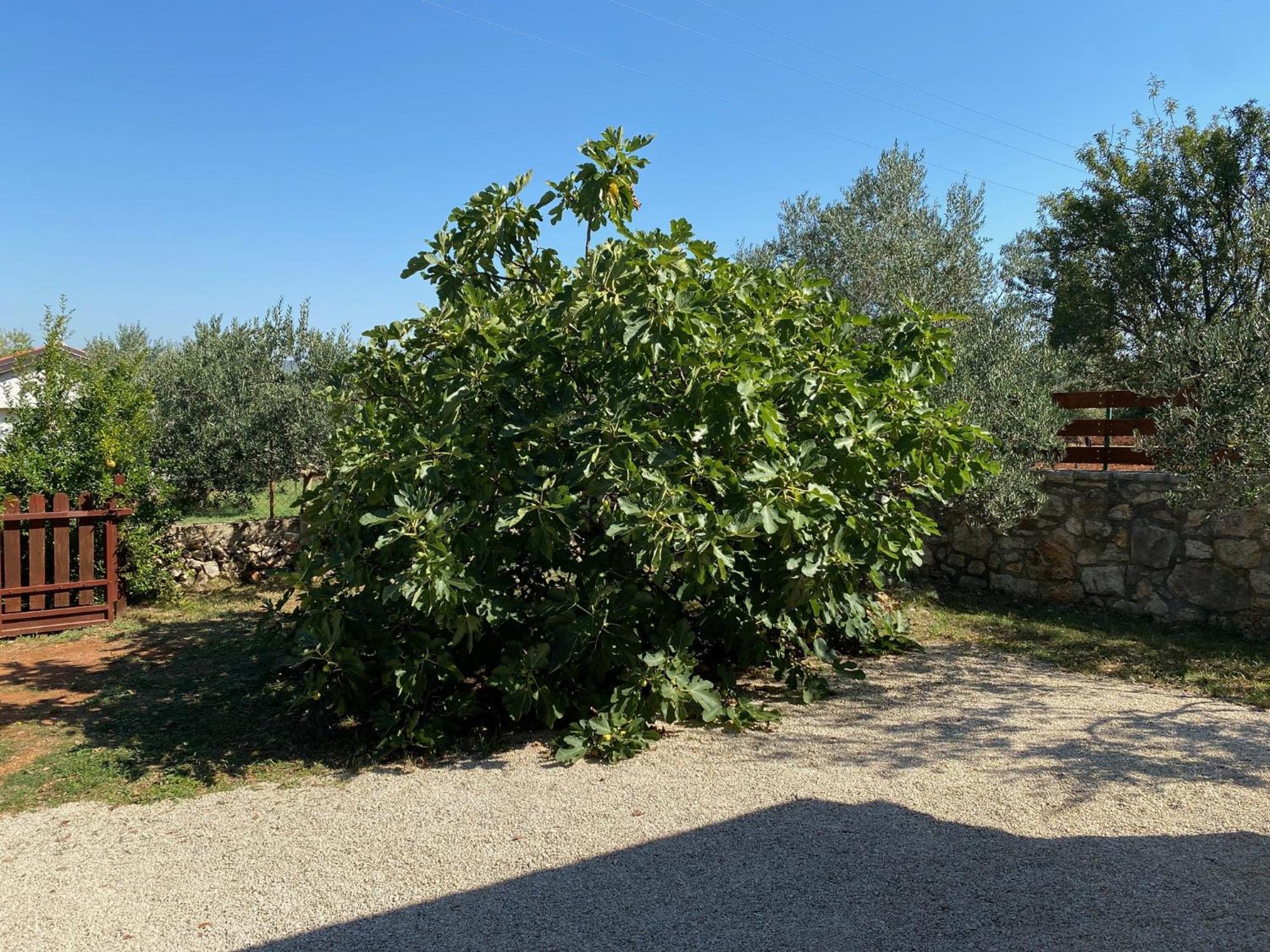 Holiday Home Sea La Vie Rovinj Exteriér fotografie